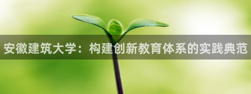 盈顺休闲娱乐室优惠团购：安徽建筑大学：构建创新教育体系的实践典范