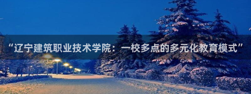 顺盈娱乐28是什么：“辽宁建筑职业技术学院：一校多点的多元化教育模式”