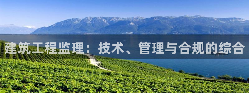 盈顺休闲娱乐室团购价格：建筑工程监理：技术、管理与合规的综合